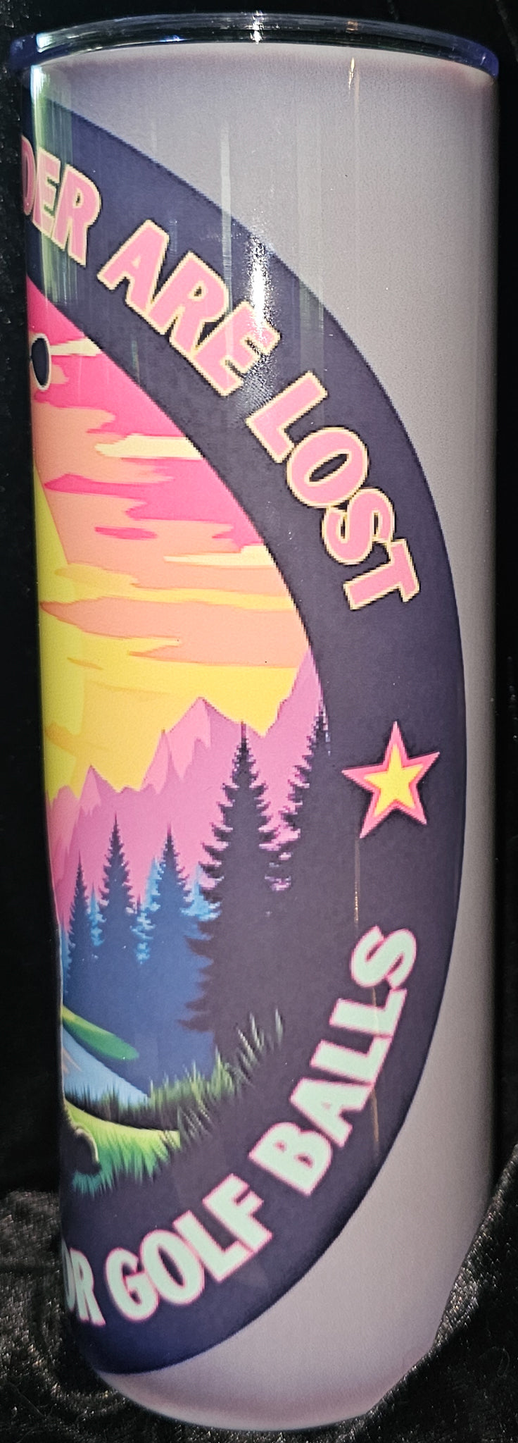 Not All Who Wander Are Lost, Some Are Just Looking For Golf Balls 20 oz Skinny Tumbler
