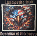 Land Of the Free Because Of the Brave RWB Eagle T-Shirt