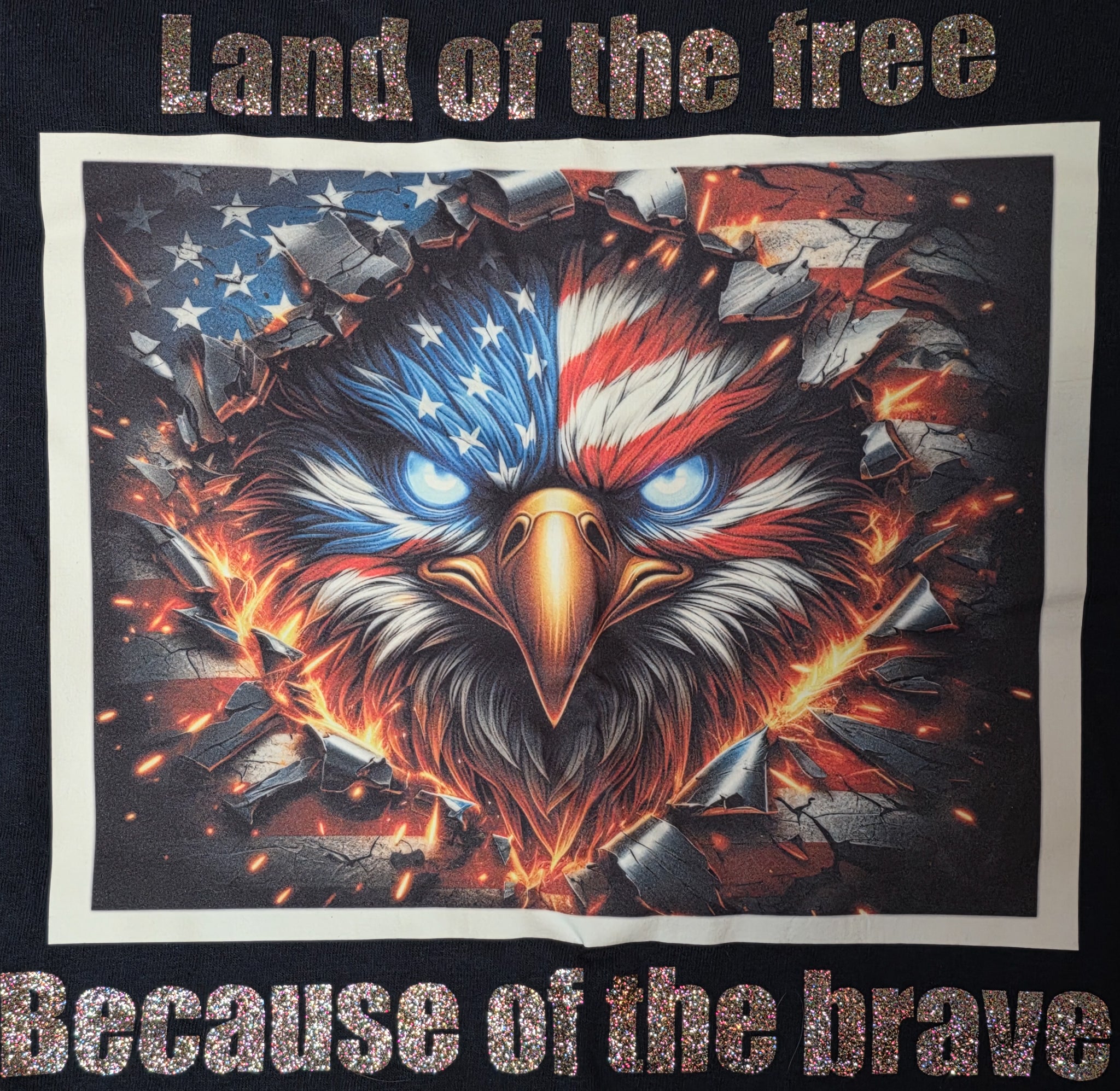 Land Of the Free Because Of the Brave RWB Eagle T-Shirt