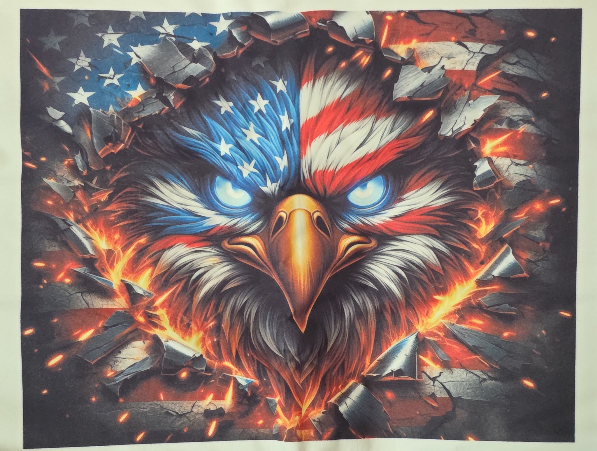 RWB Eagle T-Shirt