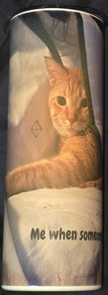 Hiding Kitty (Me When Someone Rings the Doorbell) 20oz Skinny Tumbler