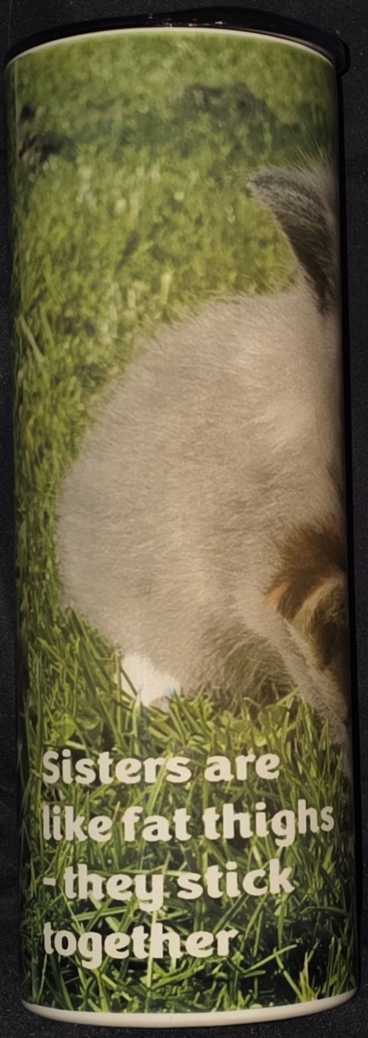 Two Kittens (Sisters Are Like Fat Thighs - They Stick Together 20oz Skinny Tumbler