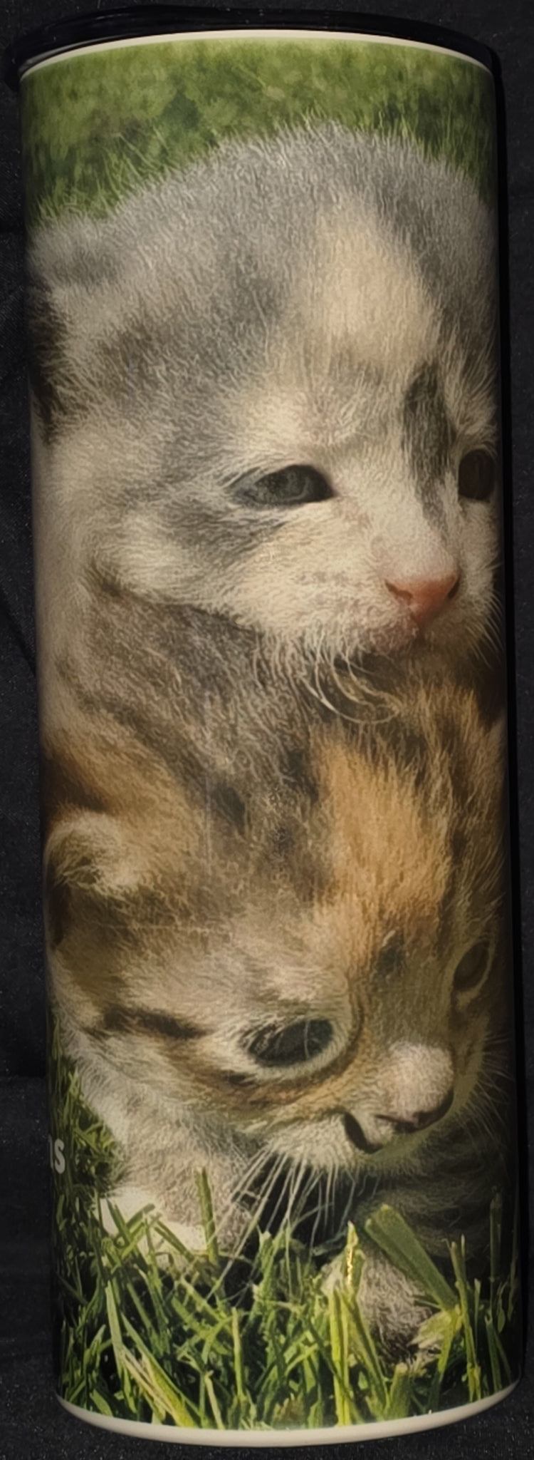 Two Kittens (Sisters Are Like Fat Thighs - They Stick Together 20oz Skinny Tumbler