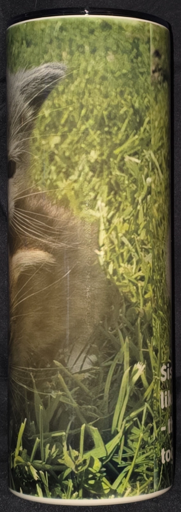 Two Kittens (Sisters Are Like Fat Thighs - They Stick Together 20oz Skinny Tumbler