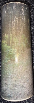 Forest Path 20oz Skinny Tumberl