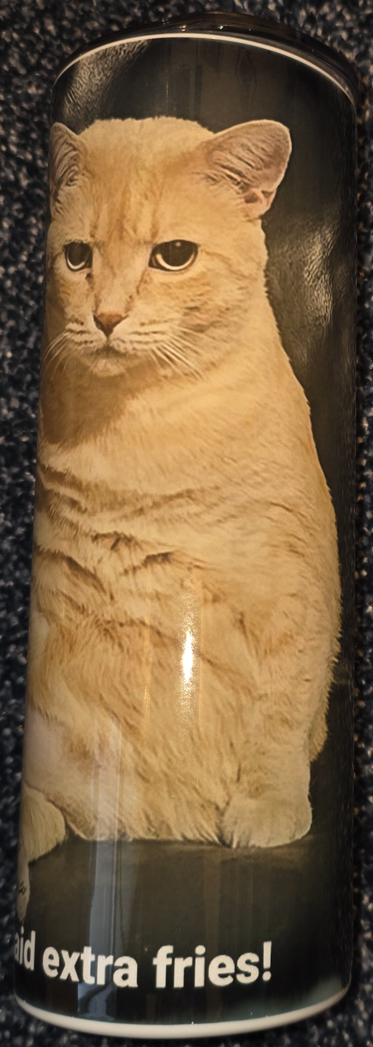 Fat Kitty- Exercise? I Thought You Said Extra Fries 20oz Skinny Tumbler