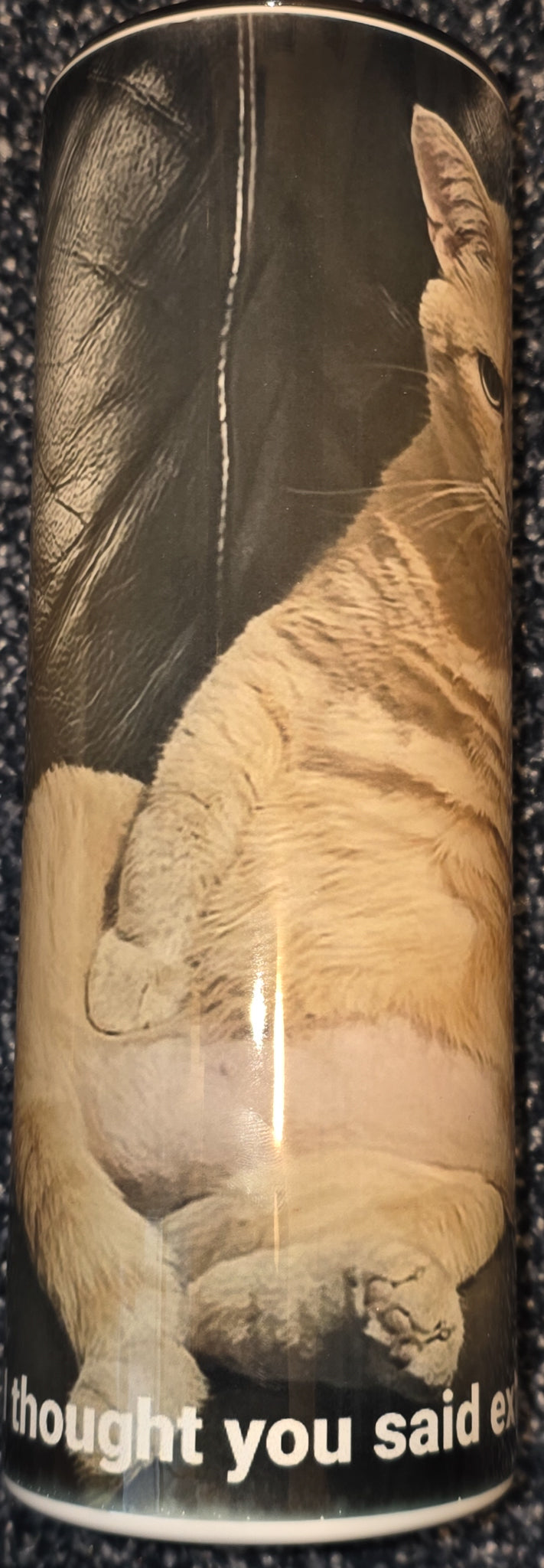 Fat Kitty- Exercise? I Thought You Said Extra Fries 20oz Skinny Tumbler