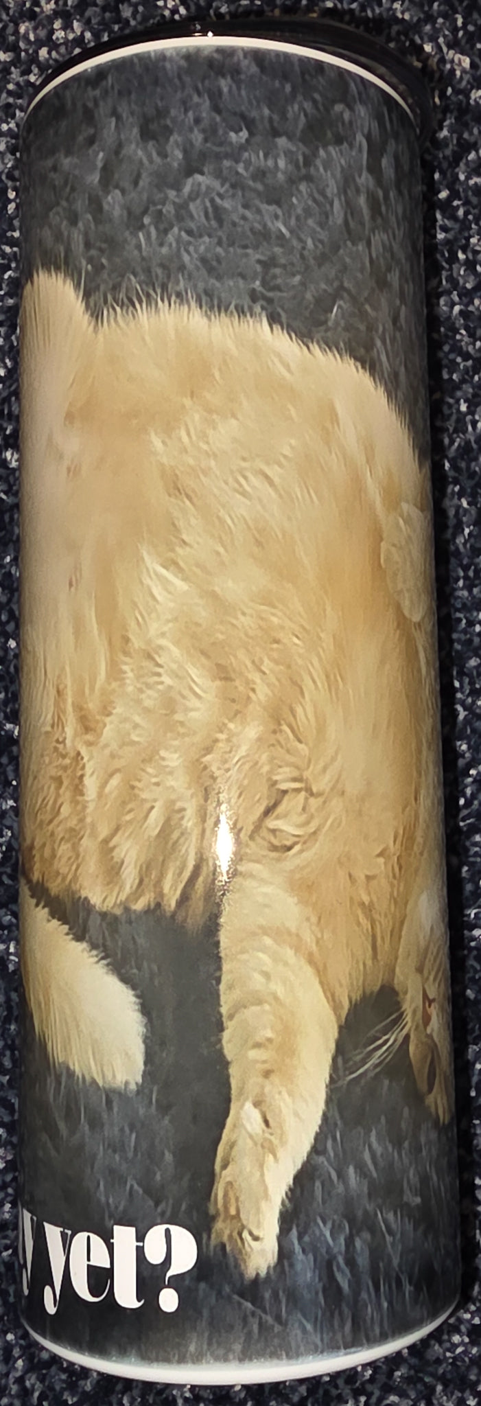 Tired Kitty- Is It Friday Yet? 20oz Skinny Tumbler