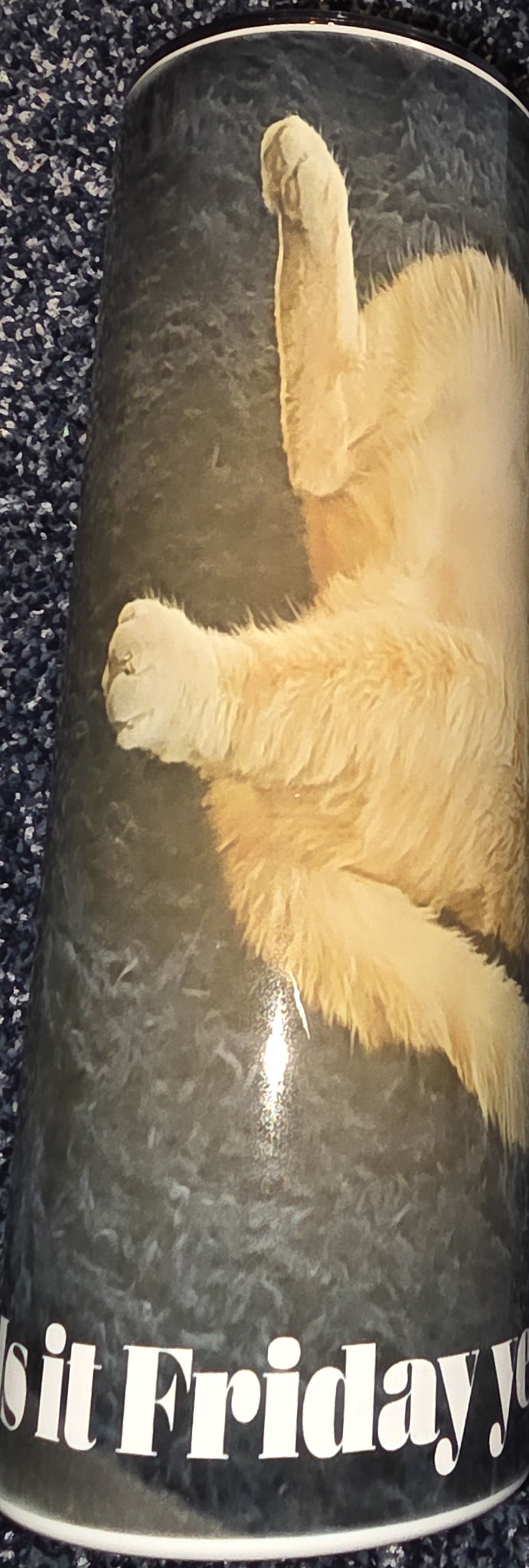 Tired Kitty- Is It Friday Yet? 20oz Skinny Tumbler