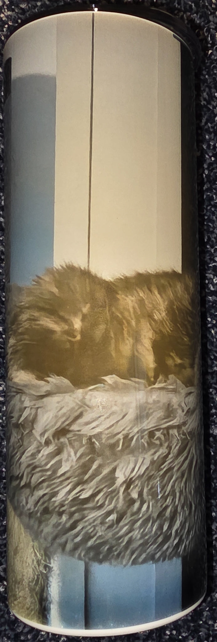 Tired Kitty (Nope, Not Today) 20oz Skinny Tumbler