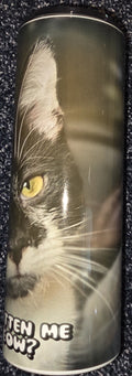 Are You Kitten Me Right Meow? 20oz Skinny Tumbler