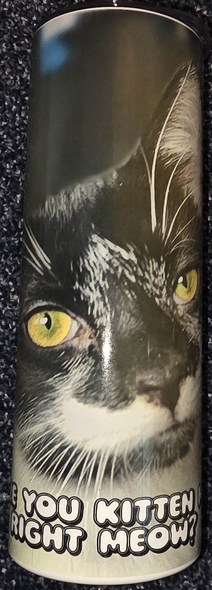 Are You Kitten Me Right Meow? 20oz Skinny Tumbler