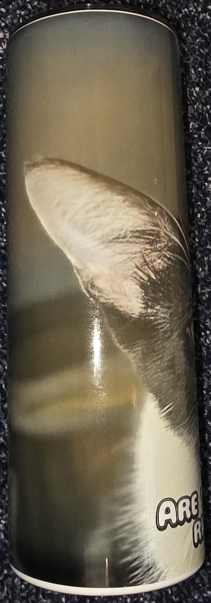 Are You Kitten Me Right Meow? 20oz Skinny Tumbler