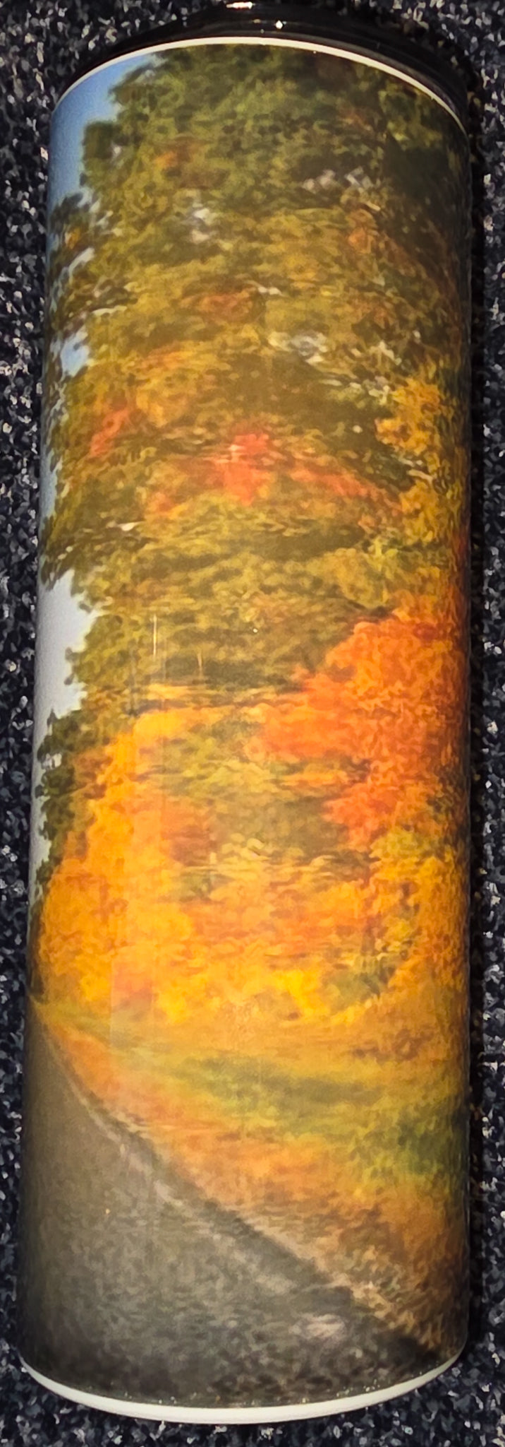 Colorful Autumn Leaves and Country Road 20oz Skinny Tumbler