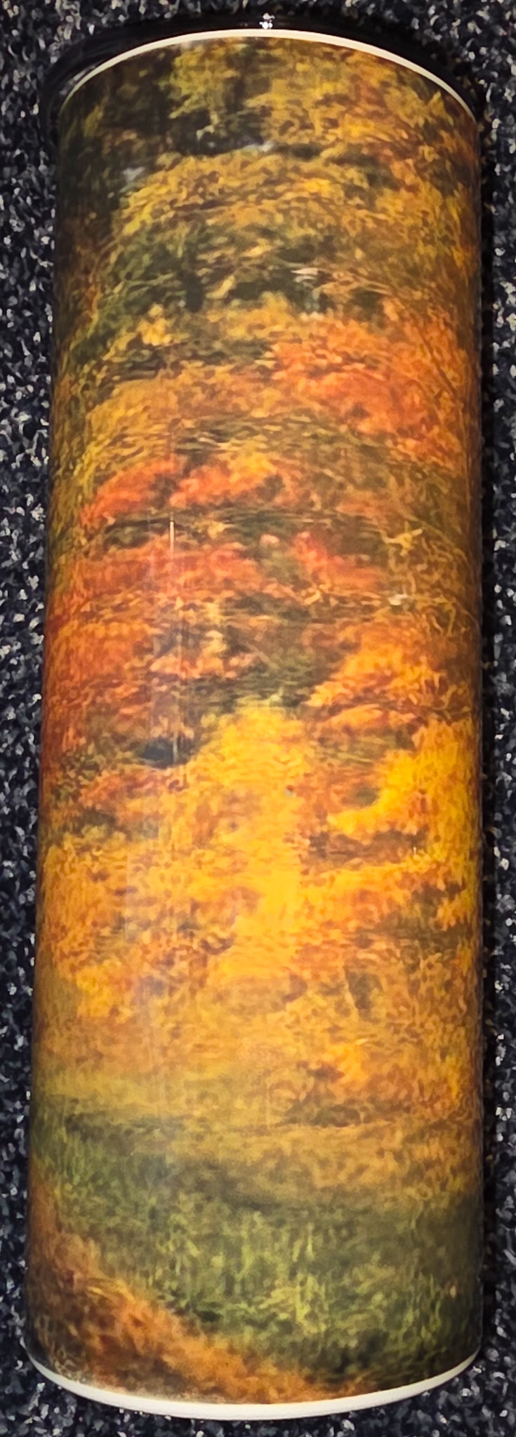 Colorful Autumn Leaves and Country Road 20oz Skinny Tumbler