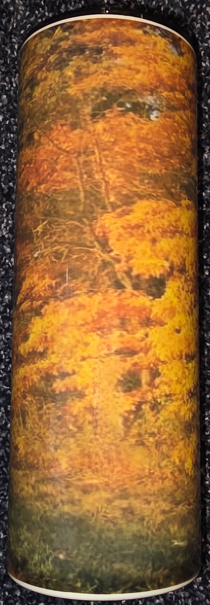 Colorful Autumn Leaves and Country Road 20oz Skinny Tumbler