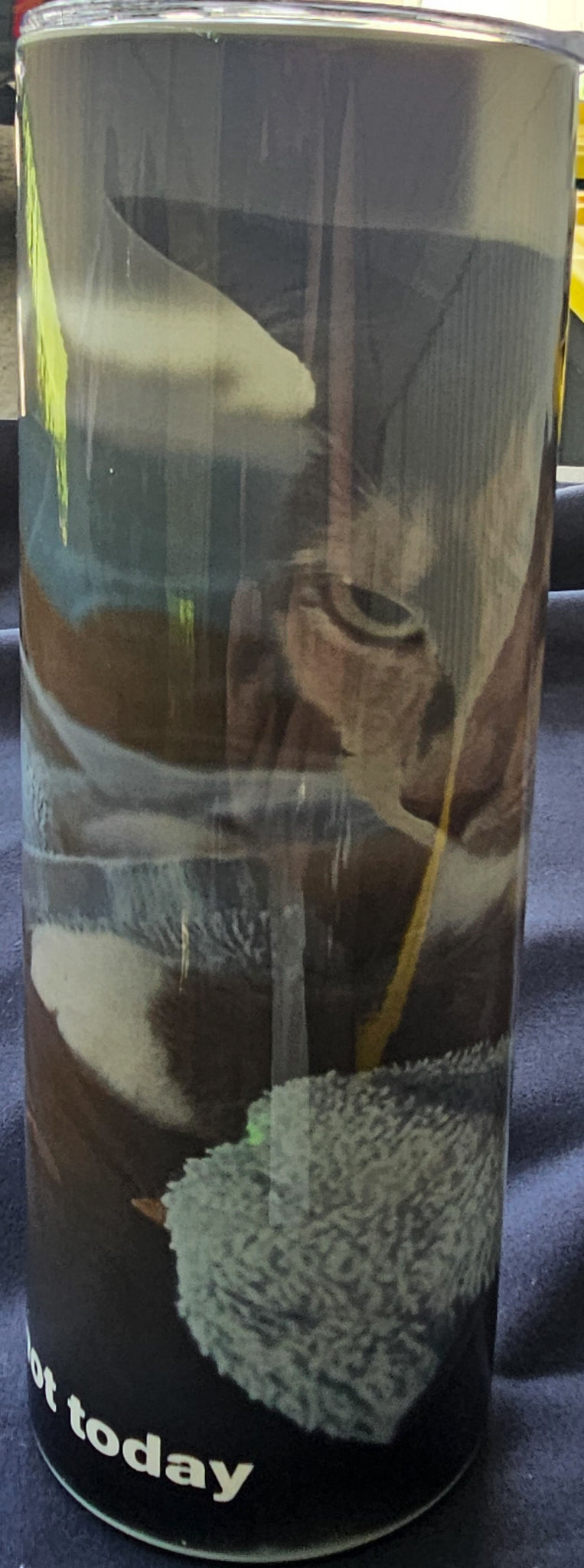 Spa Kitty In A Towel- Nope, Not Today 20oz Skinny Tumbler