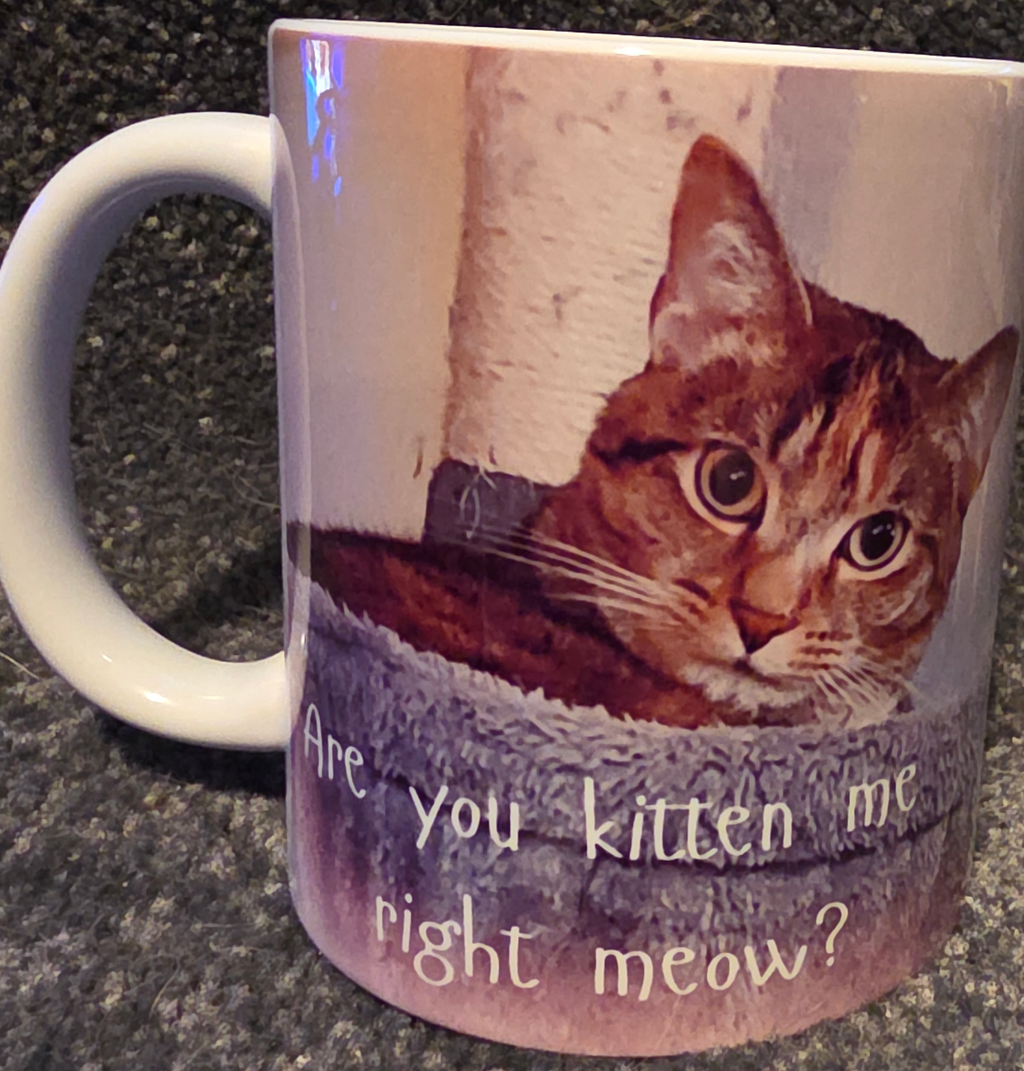 Are You Kitten Me Right Meow? 11 oz Coffee Mug