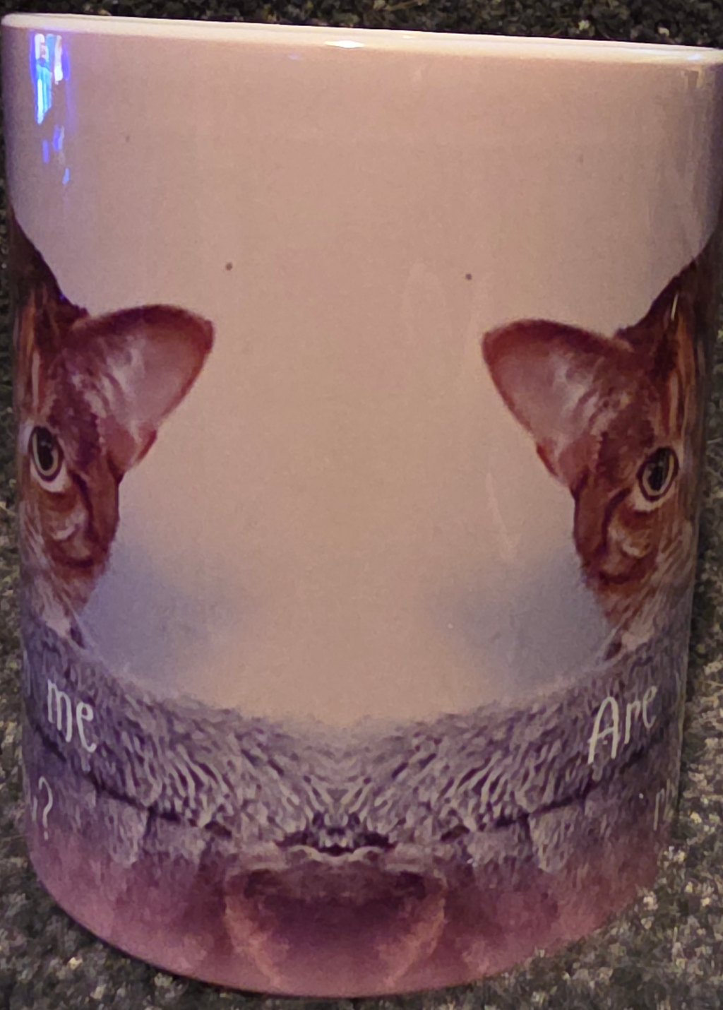 Are You Kitten Me Right Meow? 11 oz Coffee Mug