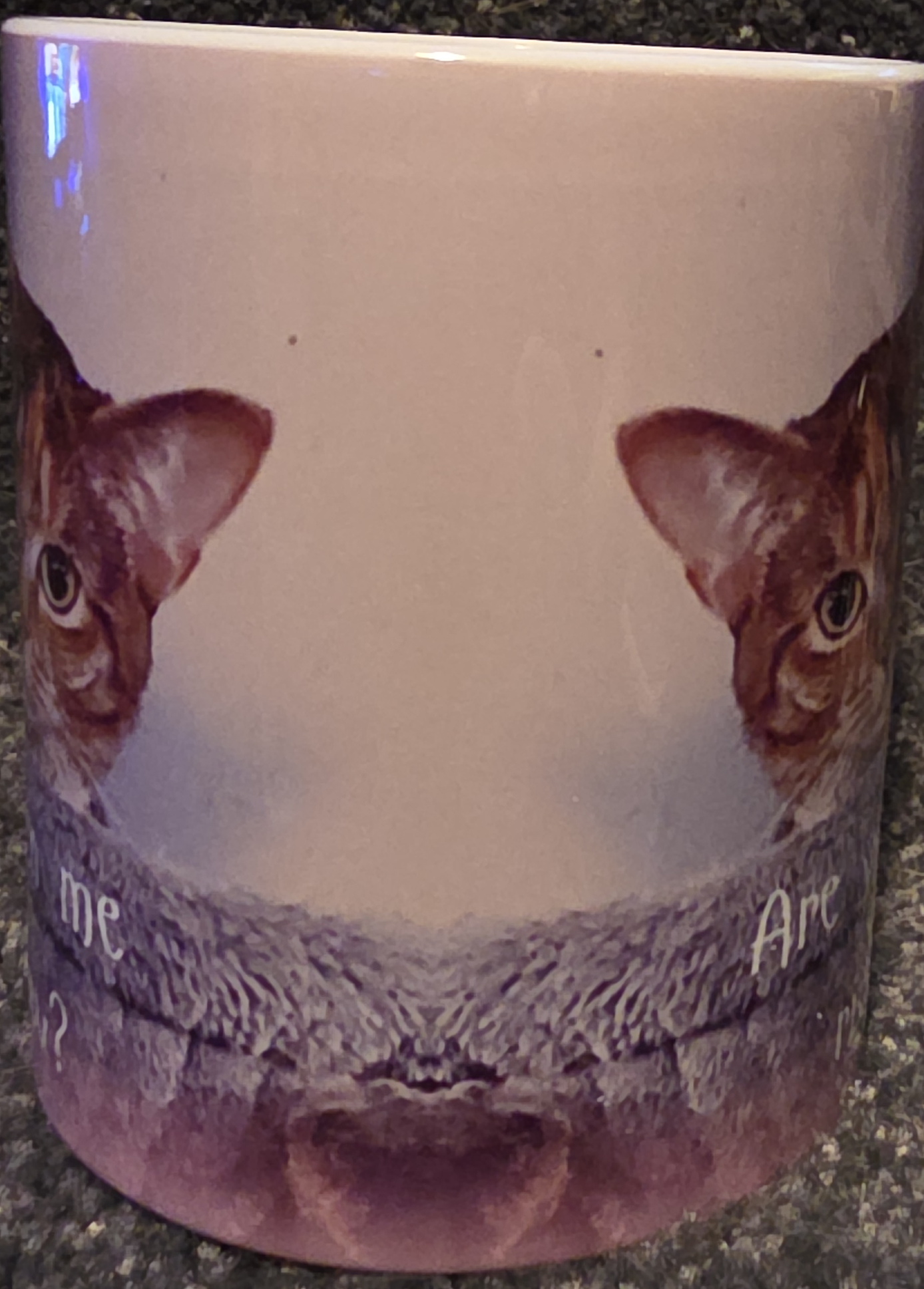 Are You Kitten Me Right Meow? 11 oz Coffee Mug