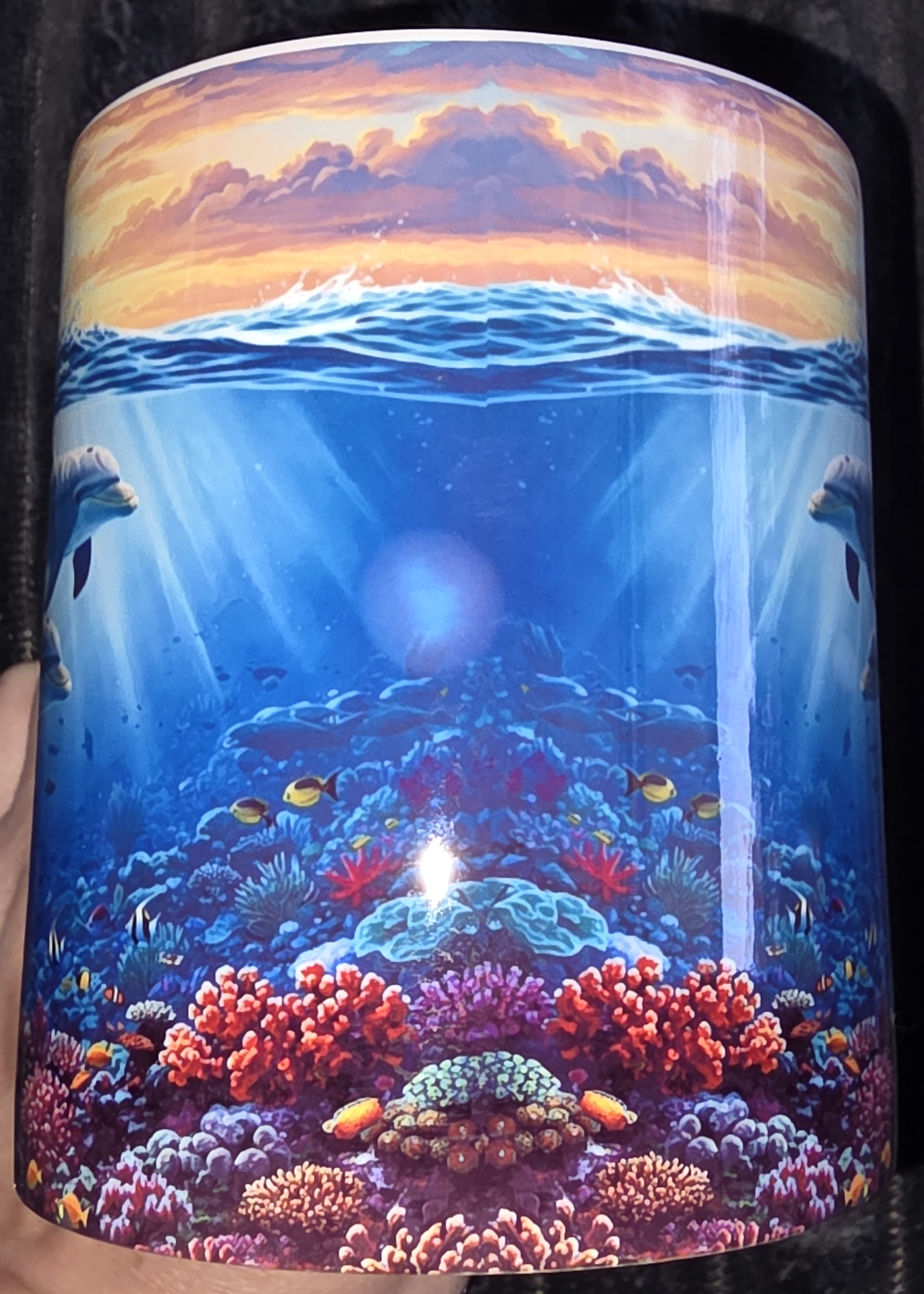 2 Dolphins 11oz Coffee Mug