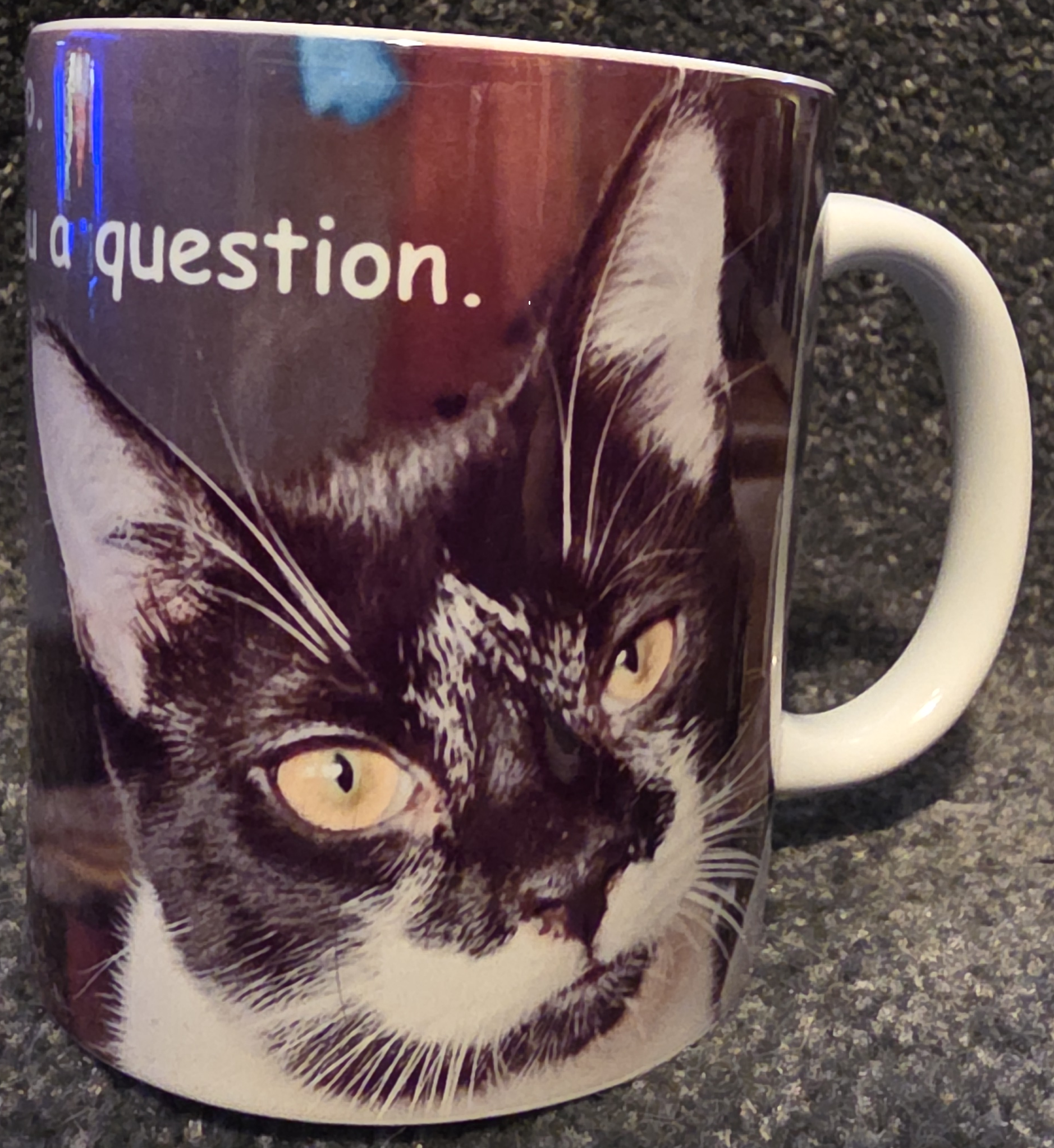 Hello! I Mustache You a Question 11oz Coffee Mug