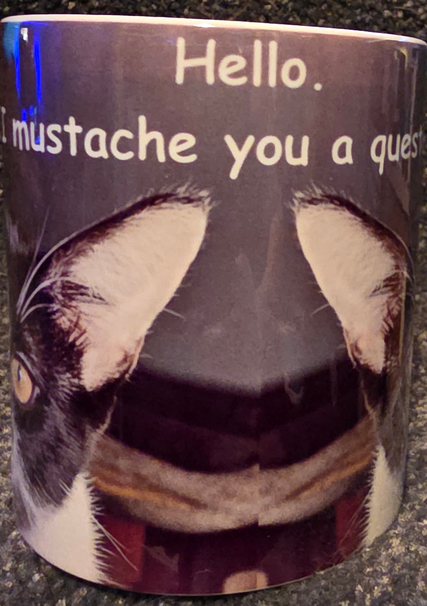 Hello! I Mustache You a Question 11oz Coffee Mug