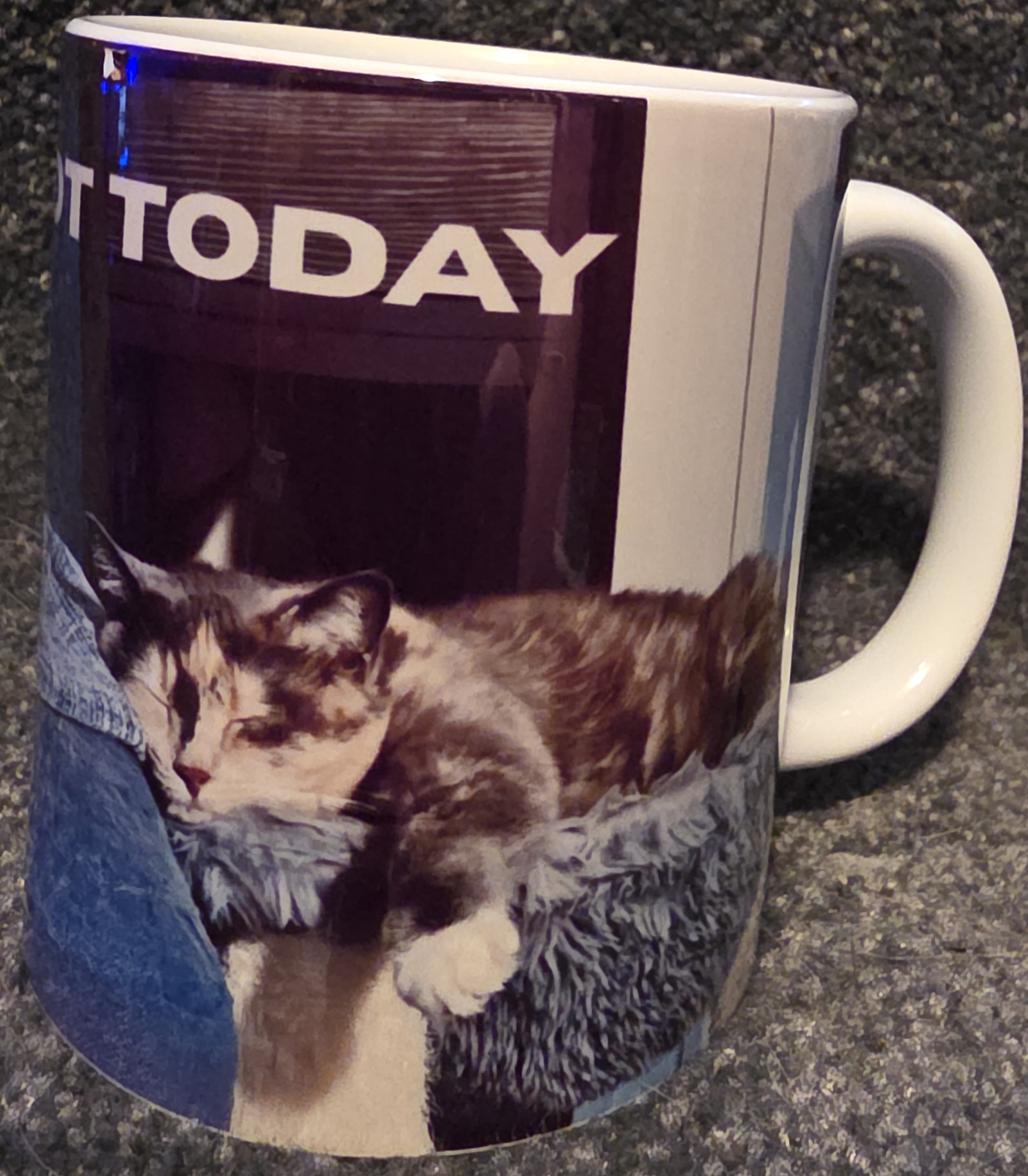 Nope, Not Today 11oz Coffee Mug